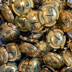 Les capsules sont arrivées !